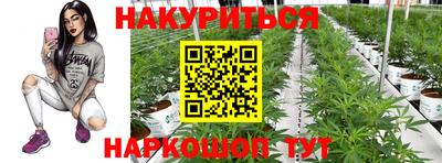 гидра Пушкино