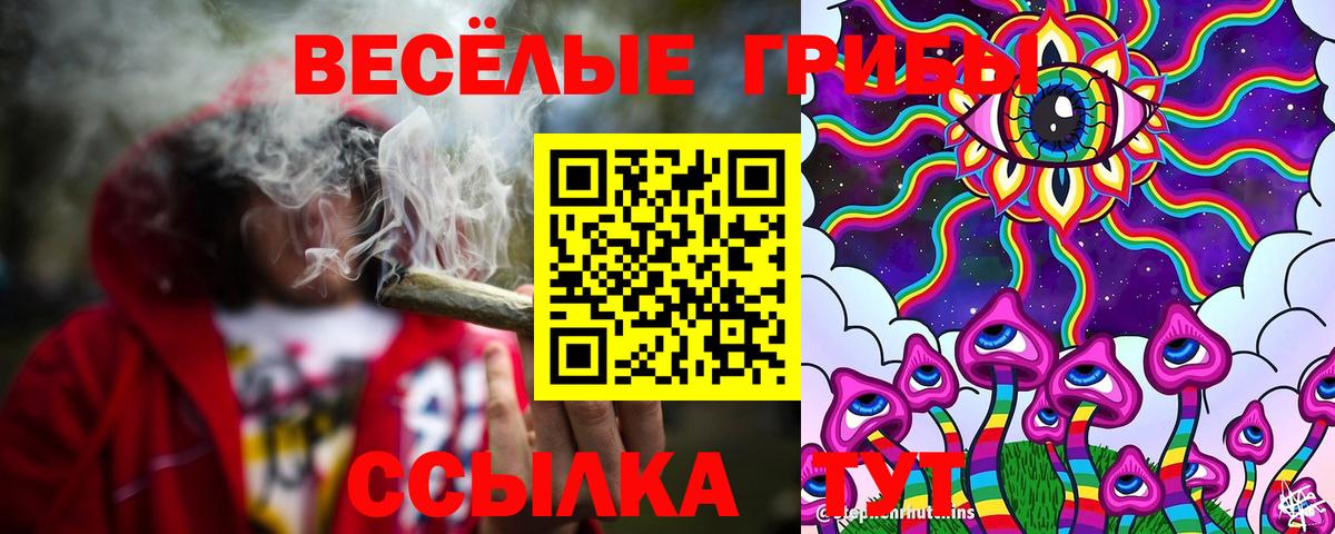 Нерюнгри  Псилоцибиновые грибы Psilocybine cubensis  Вход с VPN 